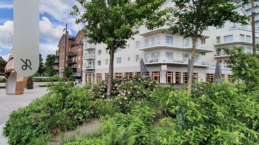 Från kajen sett sommar